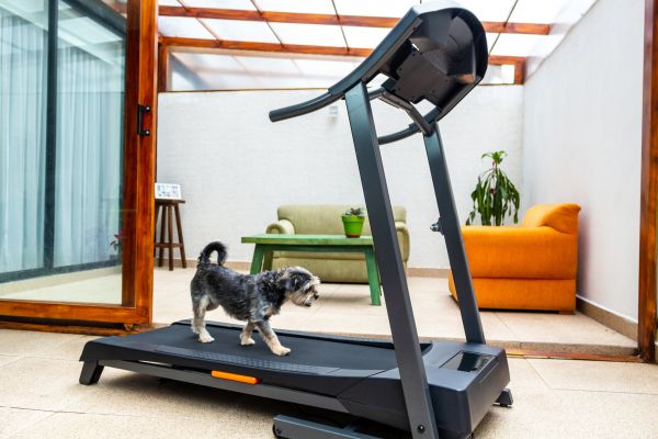 Treadmill Installation in Chattanooga