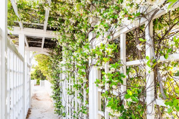 Trellis Repair in Chattanooga