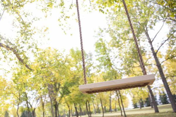 Tree Swing Installation in Chattanooga