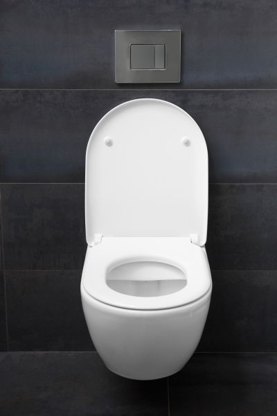 Toilet Lid Installation in Chattanooga