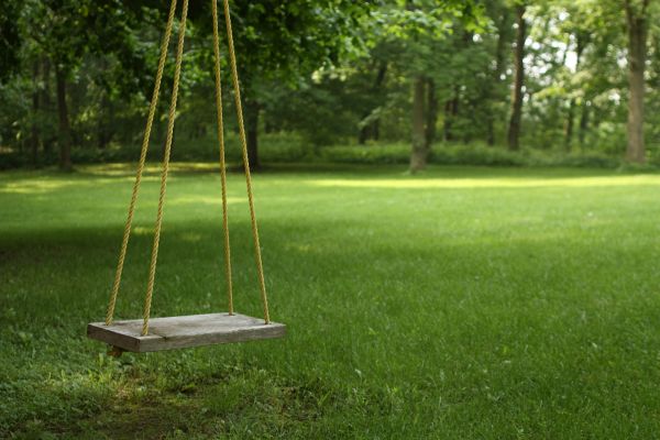 Rope Swing Installation in Chattanooga