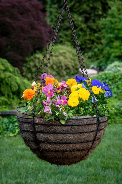 Hanging Basket Installation in Chattanooga