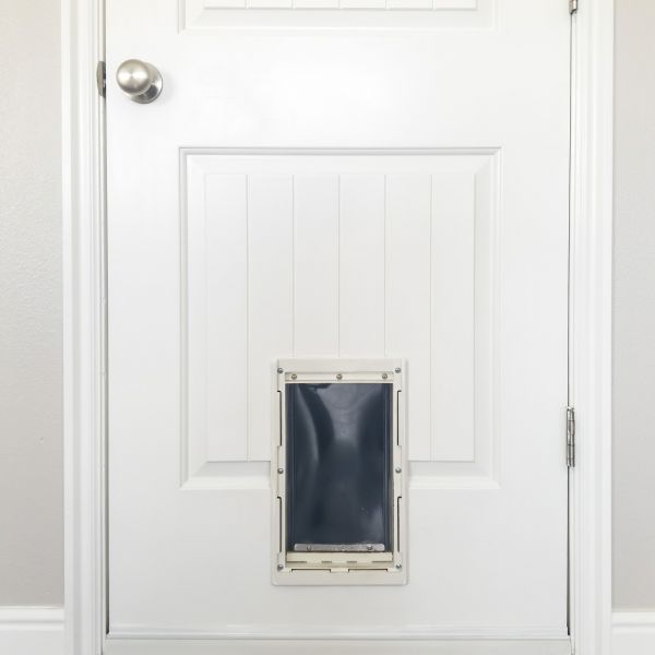 Pet Door Repair in Chattanooga