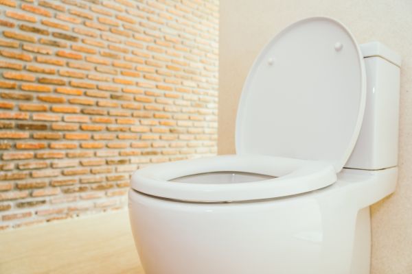 Toilet Seat Repair in Chattanooga